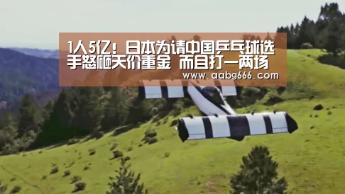 
1人5亿！日本为请中国乒乓球选手怒砸天价重金 而且打一两场
