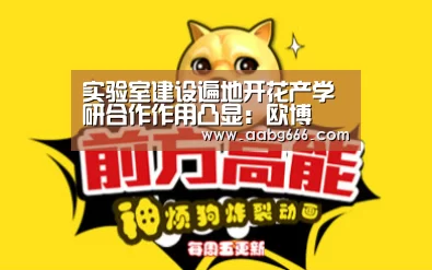实验室建设遍地开花产学研合作作用凸显：欧博