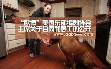 “欧博”美国东部编剧协会主席关于合同和罢工的公开信(图4) 欧博官网