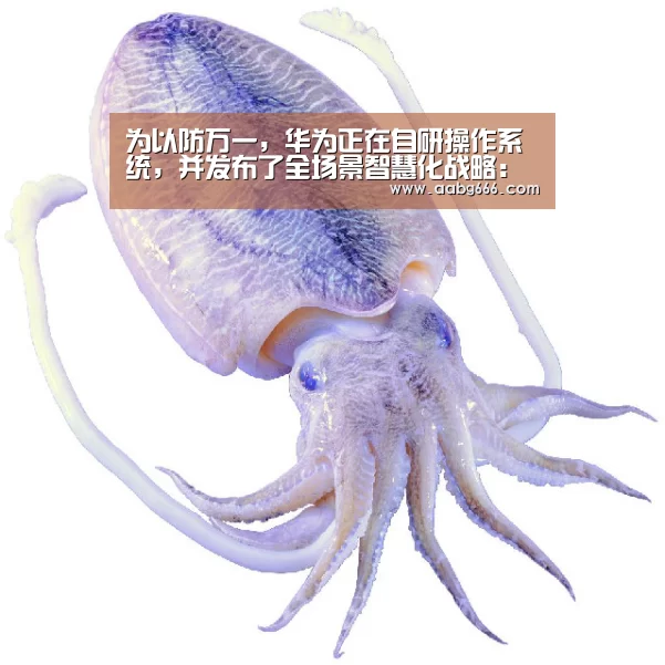 为以防万一，华为正在自研操作系统，并发布了全场景智慧化战略：