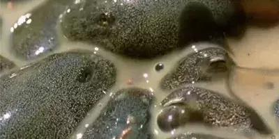 欧博官网注册