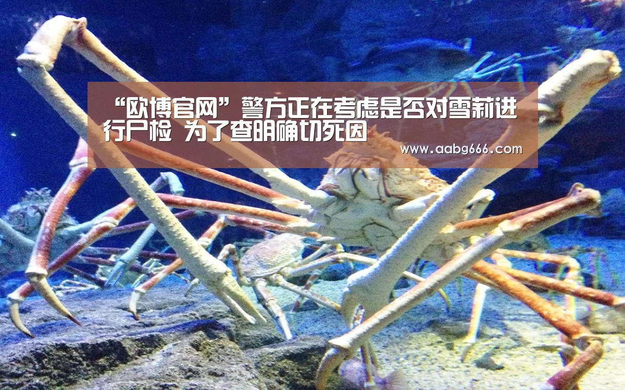 欧博官网注册