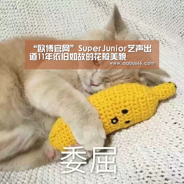 “欧博官网”SuperJunior艺声出道11年依旧如故的花