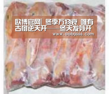 欧博