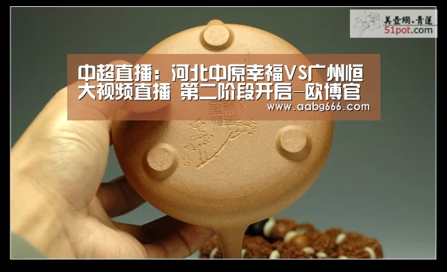 
中超直播：河北中原幸福VS广州恒大视频